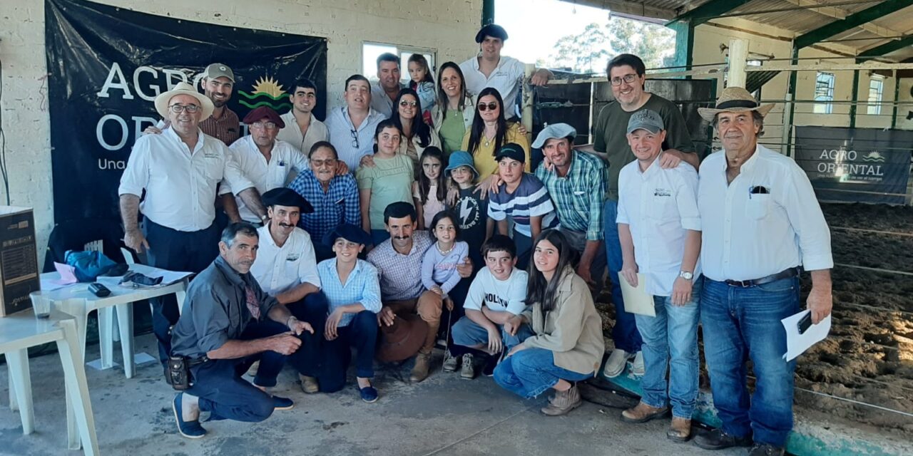 Cabaña Arbolito: mercado rápido y de menos a más