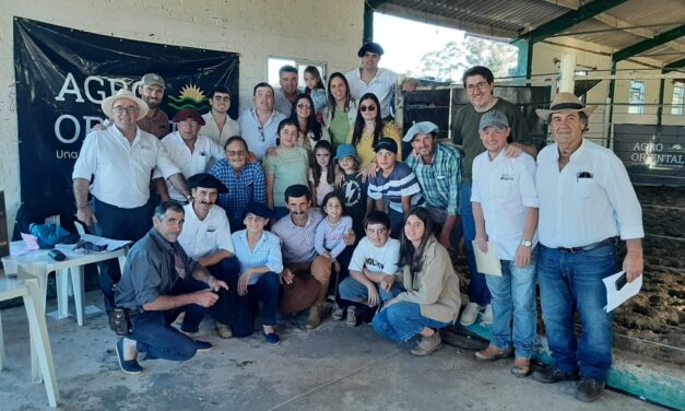 Cabaña Arbolito: mercado rápido y de menos a más