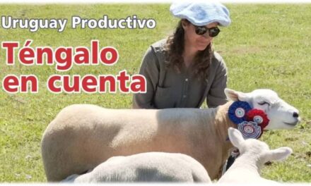 Palenque Rural: Uruguay productivo téngalo en cuenta!