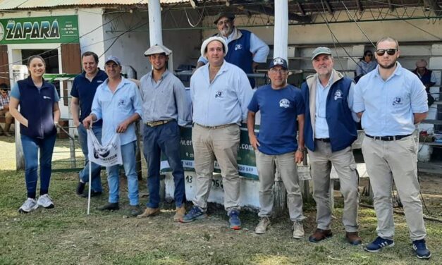 Zapará: Buena oferta de lanares y buenos precios en vacunos