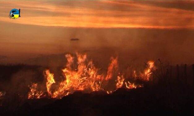 Gobierno presentó plan de protección contra incendios forestales