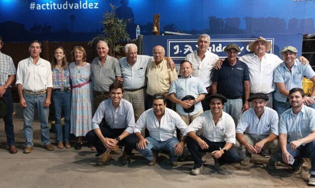 El Arazá y Petra con precios finos y superfinos