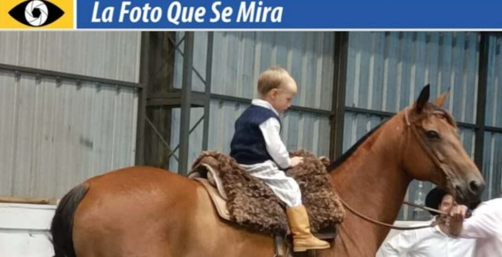 IMAGEN DE LA FOTO QUE SE MIRA, UN NIÑO A CABALLO EN UN REMATE