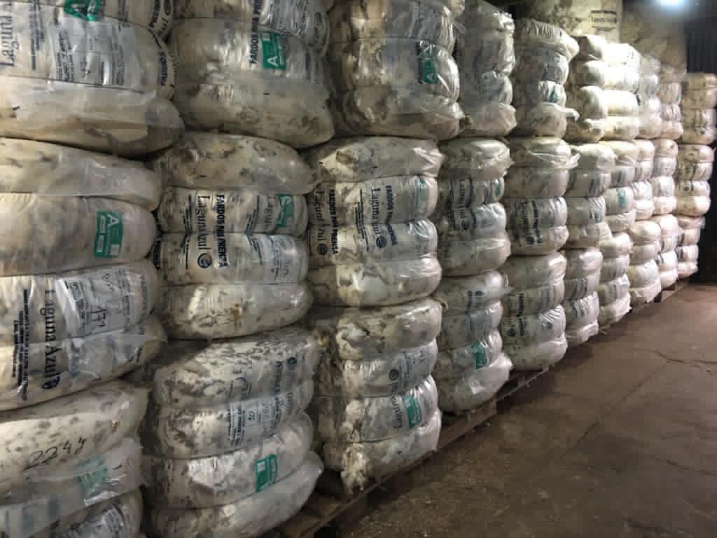 IMAGEN DE FARDOS DE LANA, SE VENDIERON 153.500 KILOS DE LANA ESTA SEMANA