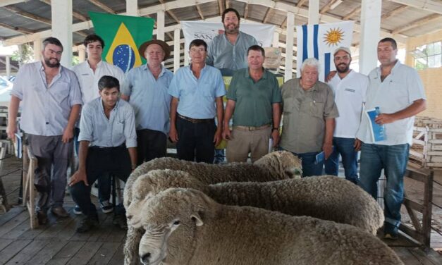 San Gerardo en su remate vendió un carnero por minuto