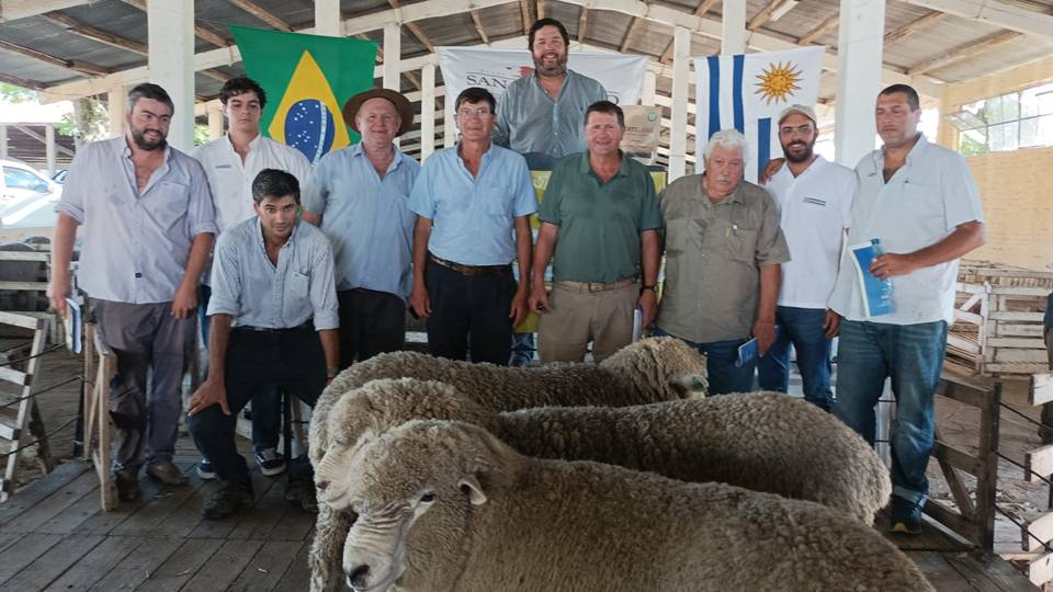 San Gerardo en su remate vendió un carnero por minuto