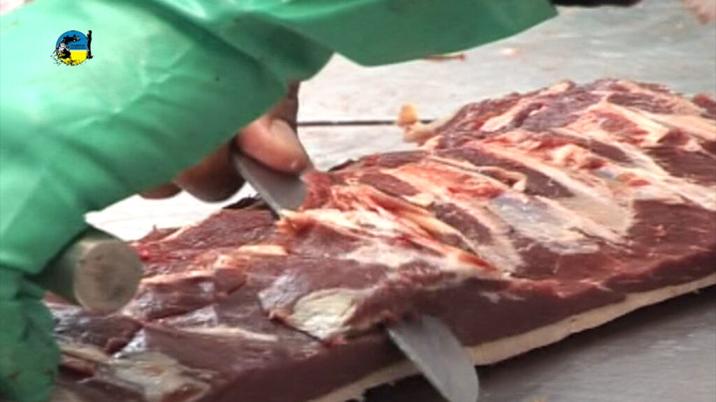 IMAGEN DE FAENA BOVINA FUE DE 47.150 CABEZAS