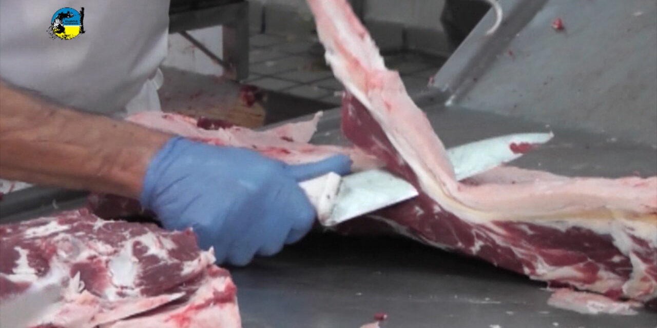 Faena Bovina fue de 45.883 cabezas