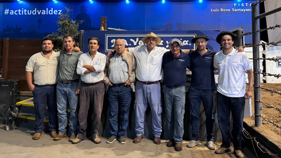 Valdez en Don Tito al ritmo del mercado actual