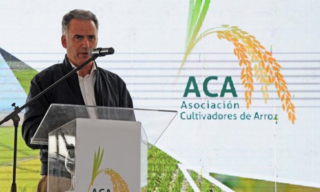 Inauguración cosecha de arroz 2025