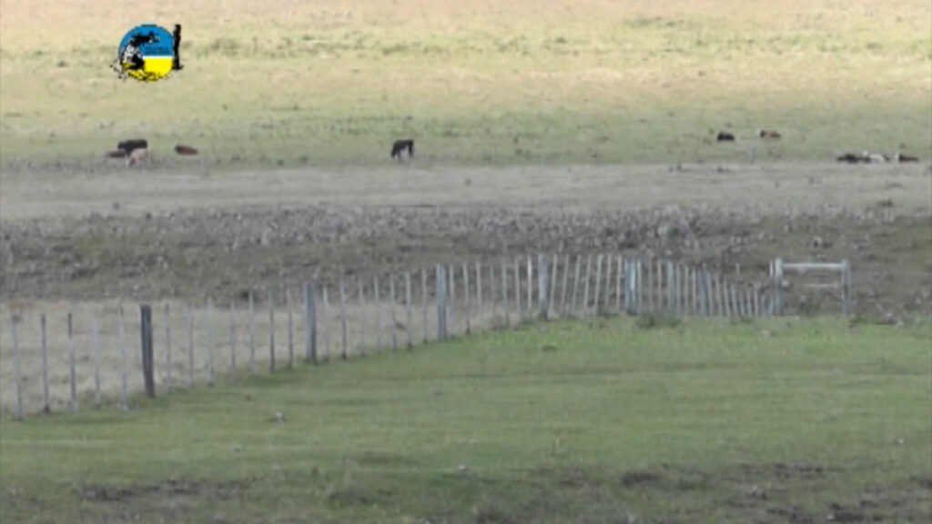 IMAGEN DE CAMPO, compraventa de tierras en Uruguay en el año 2024,