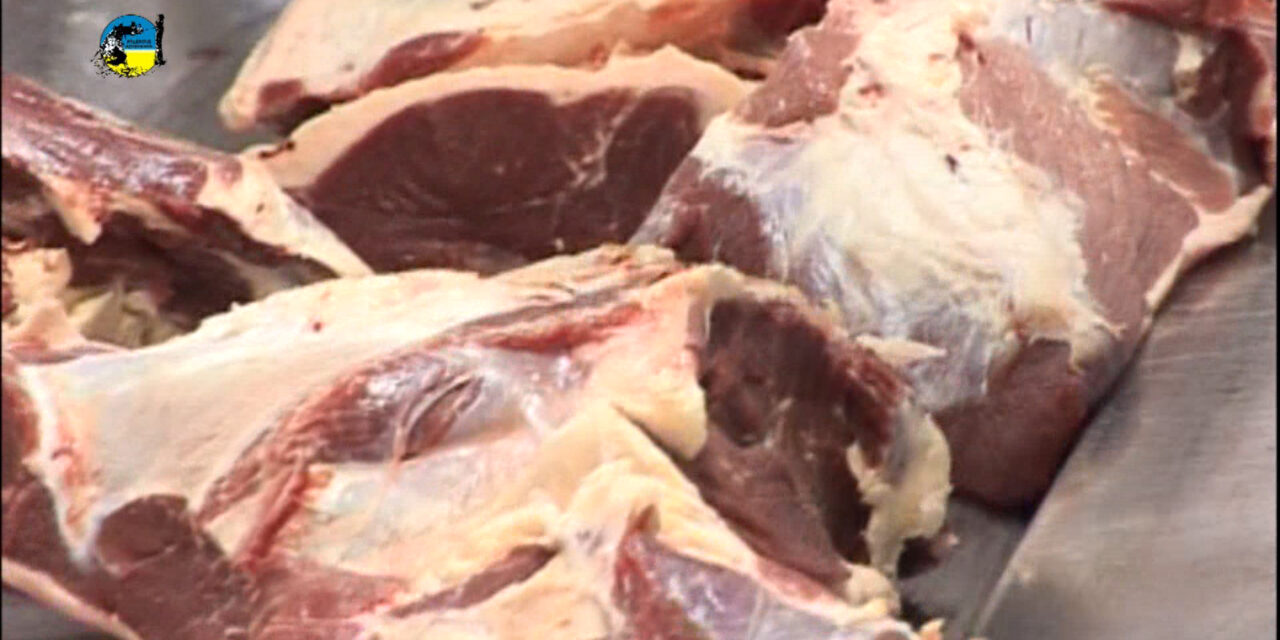Australia sigue en niveles altos de exportaciones de carne vacuna