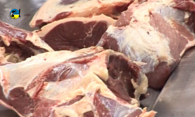 Australia sigue en niveles altos de exportaciones de carne vacuna