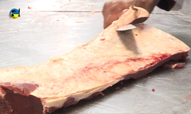 Sube 31% la cantidad de carne vacuna exportada por Paraguay