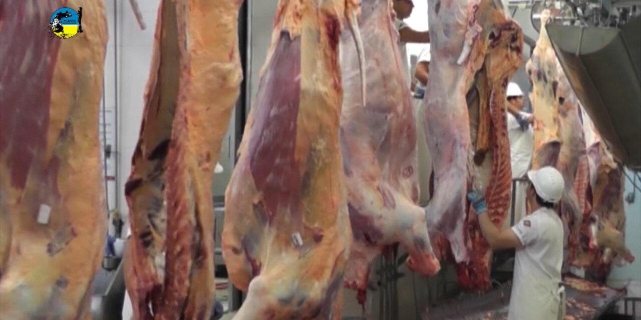Aranceles del 10% en EE.UU provocarán pérdidas a exportadores paraguayos