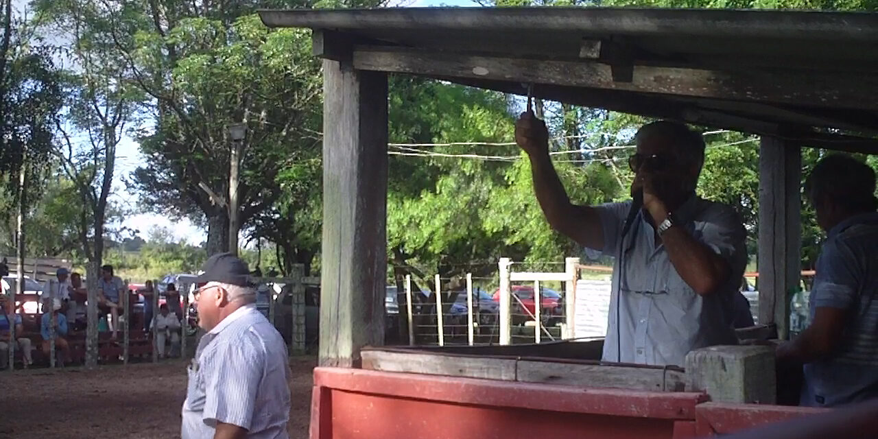 Paso Casildo: Volaron las vacas gordas precio máximo 1.320 dólares