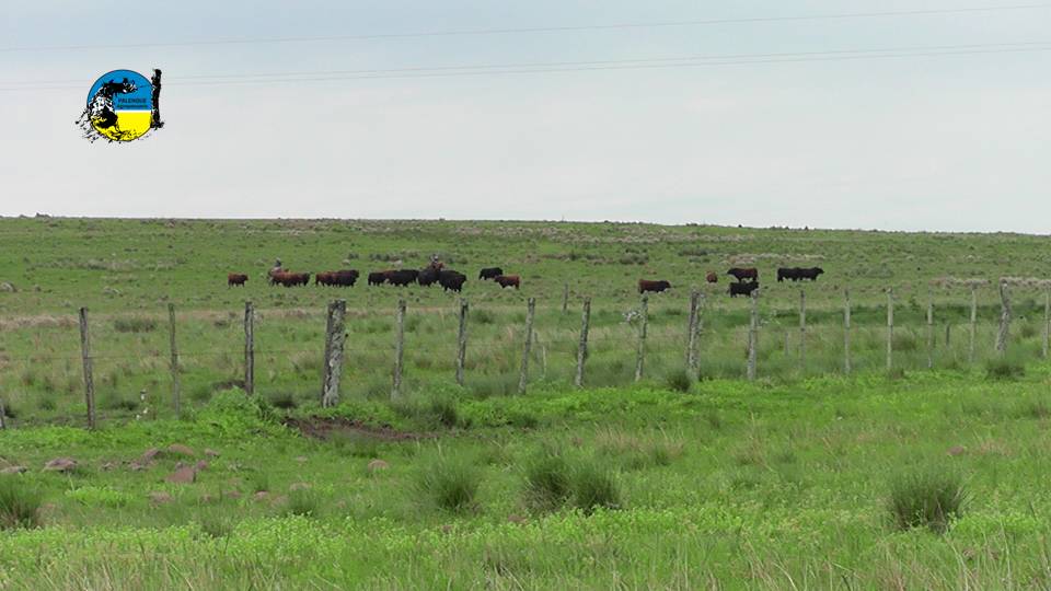 2025 comenzó con inversiones de extranjeros en tierras