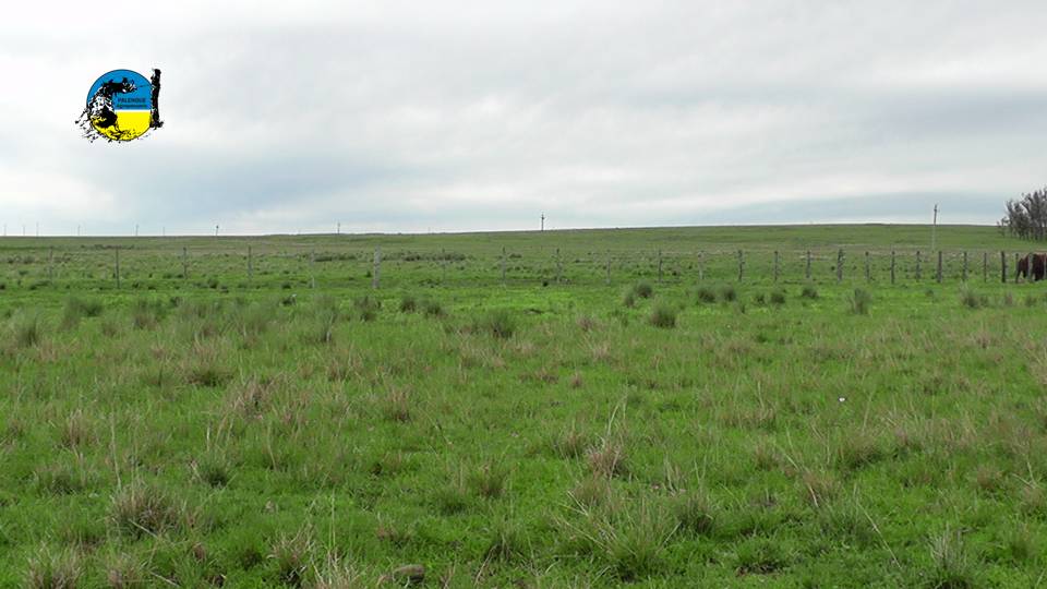 IMAGEN DE CAMPO, Primer Semestre de Arrendamientos Año 2025