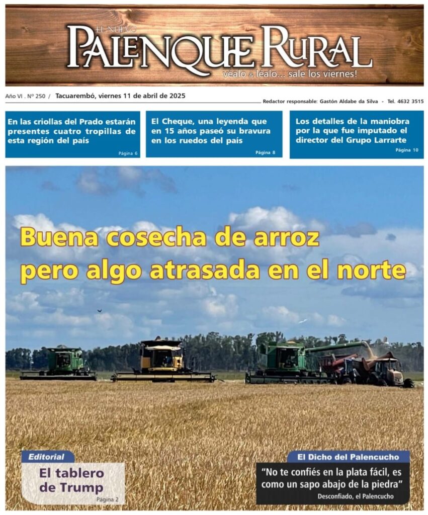 IMAGEN DE COSECHA, EL PALENQUE RURAL: BUENA COSECHA DE ARROZ 