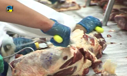 Curiosidades de las cuotas chinas de importación