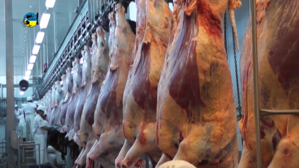 imagen de carne vacuna, Fusión de Marfrig y BRF crea la séptima mayor empresa de Brasil.