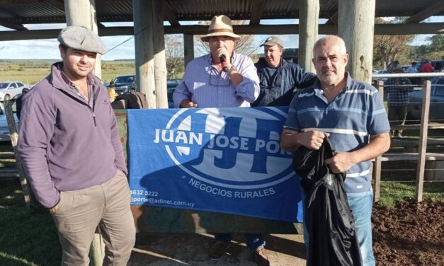 Feria en local La Sebiana: Volaron los ganados