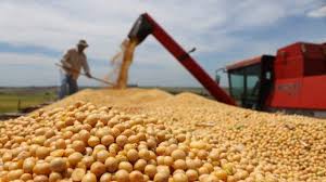 IMAGEN COSECHA DE SOJA, En Argentina, el campo vendió más soja y en abril habrían ingresado unos US$2.300 millones.