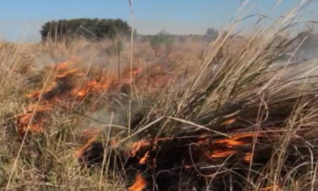 Se presentó balance de incendios forestales y de campo