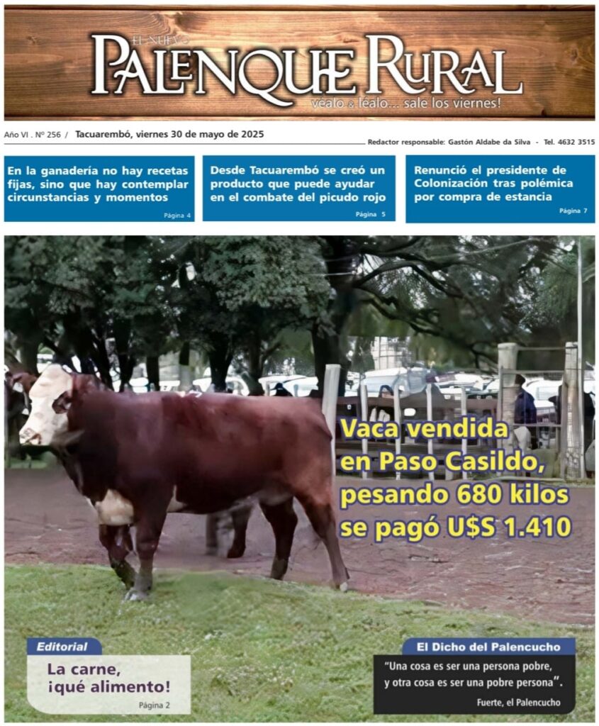 imagen de la tapa de El Palenque Rural: vaca de 680 kilos vendida a U$S 1.410 en la feria de Local Paso Casildo