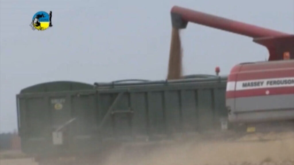 imagen de cosecha, La atención de la agricultura está centrada en la cosecha de arroz y de soja.