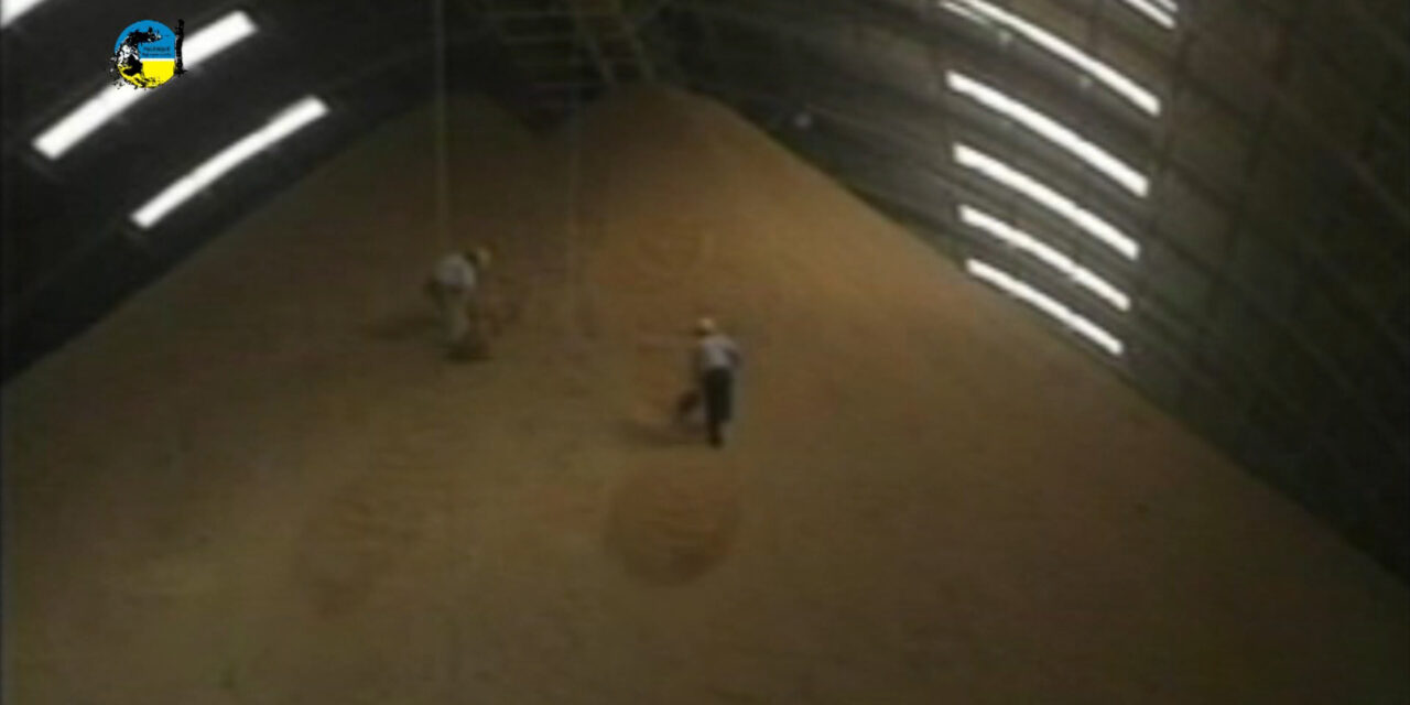 La agricultura centrada en la cosecha de arroz y soja