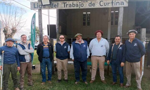Curtina: Destacados precios en lanares de abasto y muy buenos ganados