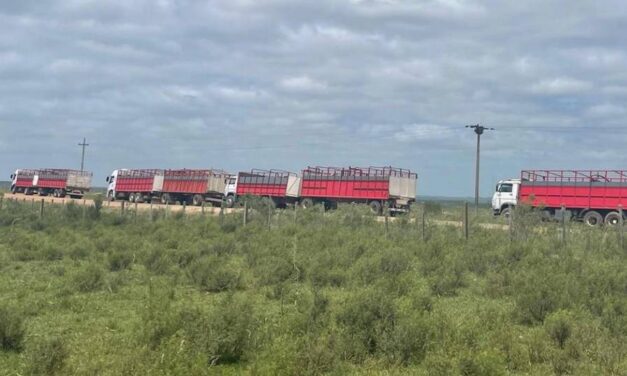 Plan contra garrapata incluirá controles móviles con apoyo policial