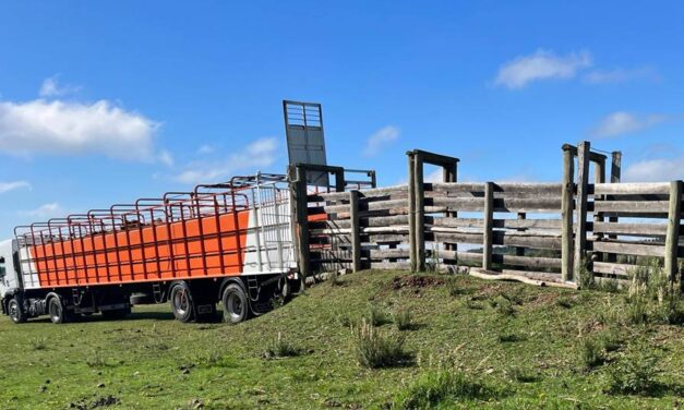 Preocupación de la Federación Rural por declaraciones del ministro Fratti sobre garrapata