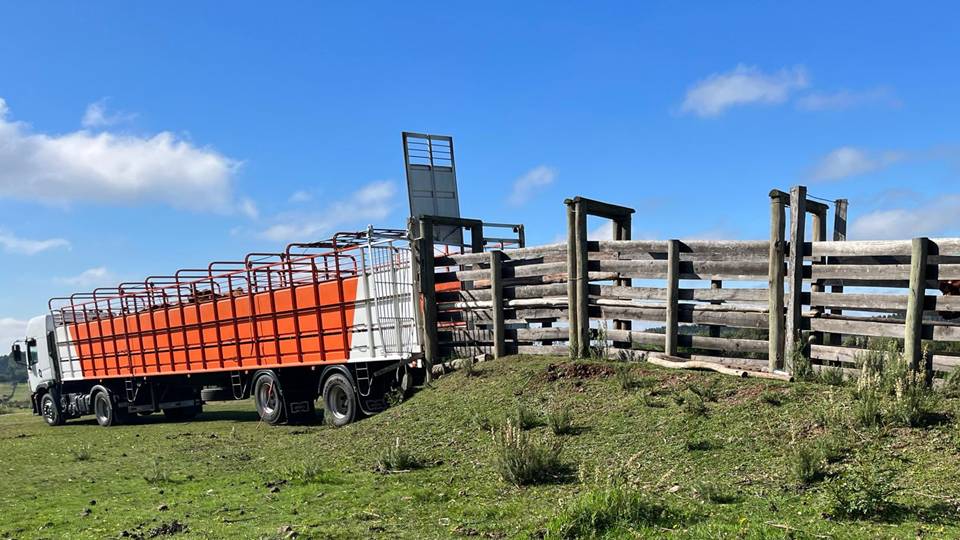 Preocupación de la Federación Rural por declaraciones del ministro Fratti sobre garrapata