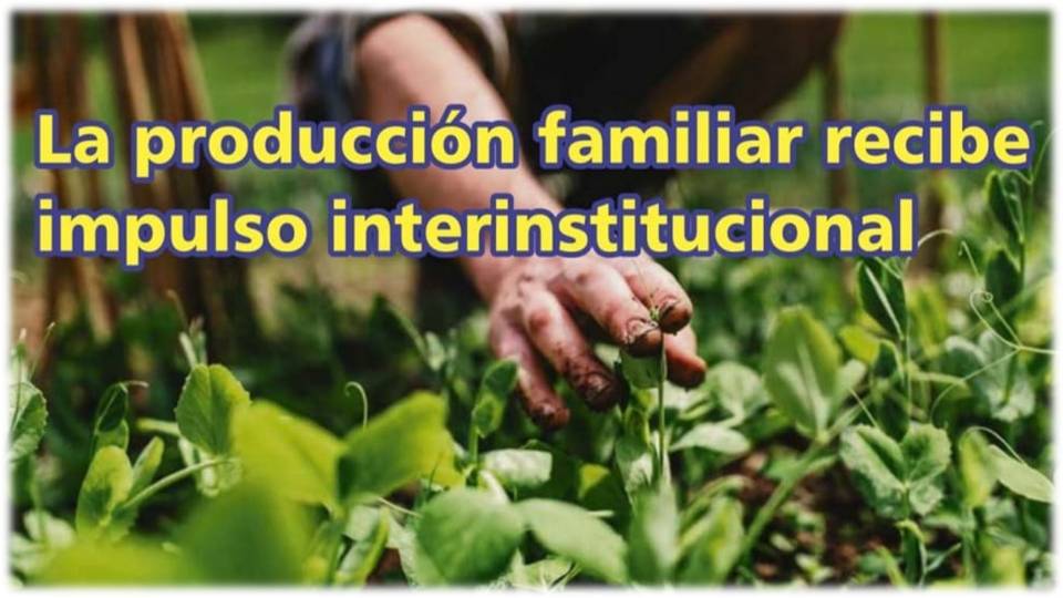 Palenque Rural: la producción familiar
