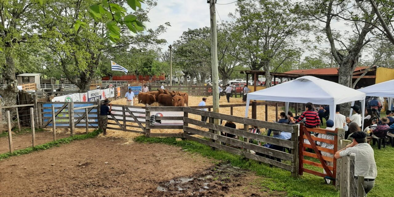 Remate en local Peralta fue largo pero con buenos precios