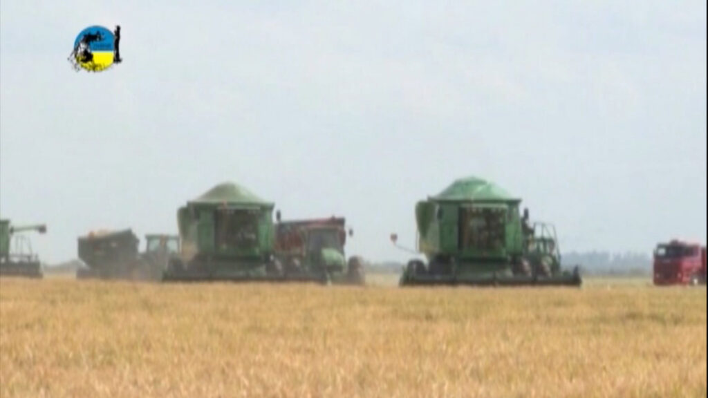 imagen de cosecha, finalizó una muy buena cosecha de soja en Uruguay
