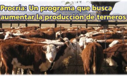 Palenque Rural: PROCRÍA