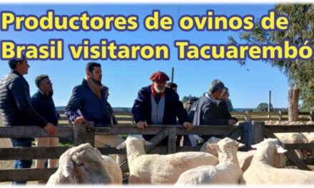 Palenque Rural: productores de ovinos de Brasil visitaron Tacuarembó