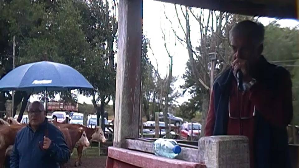 En Paso Casildo por dos vacas se pagó U$S 1.450 cada una