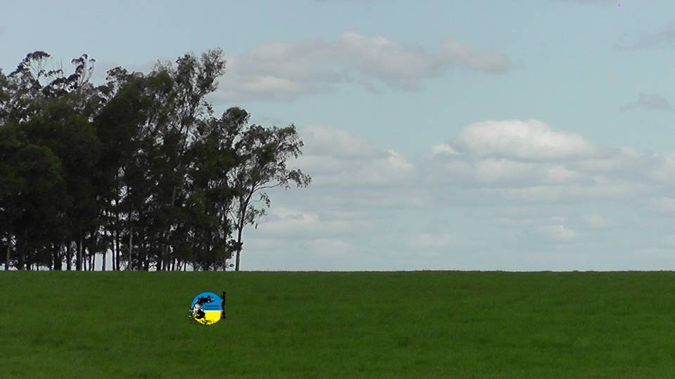 IMAGEN DE CAMPO, Directorio del Instituto Nacional de Colonización (INC) reiteró el gasto por la compra de estancia "María Dolores" en Florida.