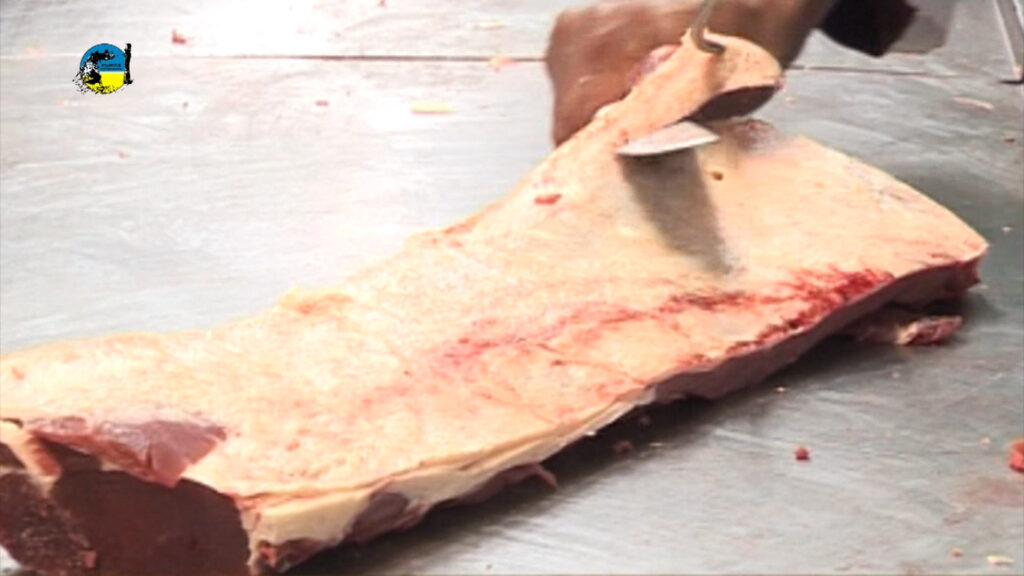 imagen de faena semanal bovina fue de 48.119 cabezas