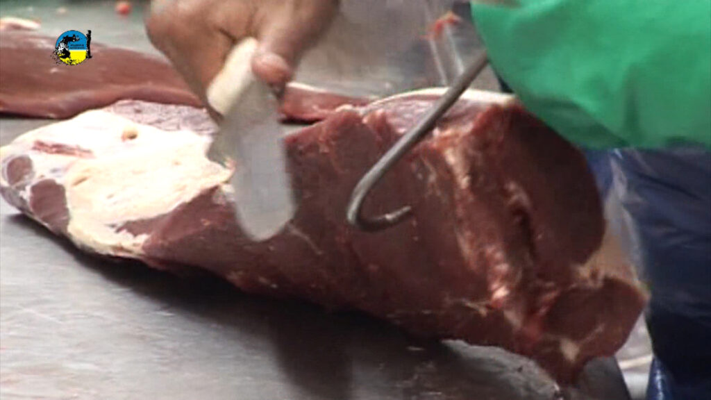 IMAGEN DE faena semanal bovina fue de 47.034 cabezas