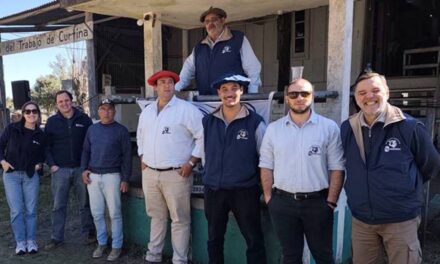 En Curtina los vacunos hicieron un promedio de U$S 644