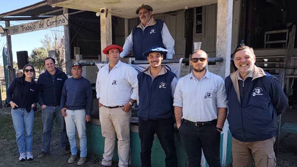 En Curtina los vacunos hicieron un promedio de U$S 644