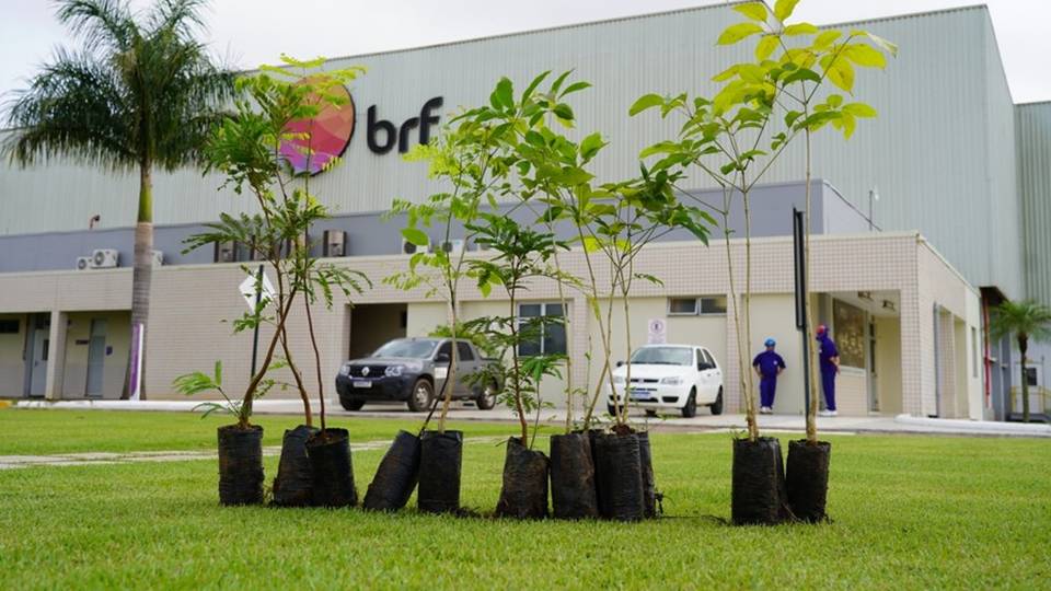 imagen de la empresa brf Accionistas de BRF y Marfrig aprobaron la fusión de las empresas.