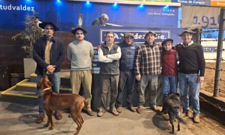 Don Tito: Ventas totales con buenos precios