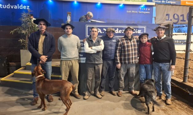 Don Tito: Ventas totales con buenos precios