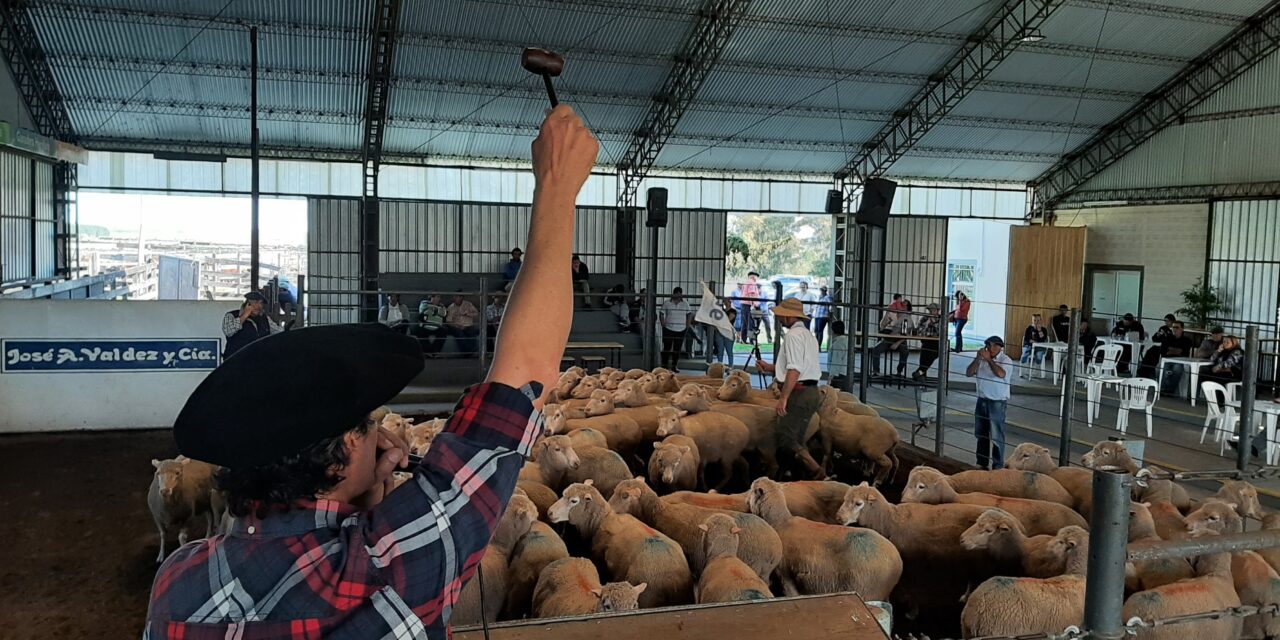 Se concretaron buenos valores en la feria de Don Tito